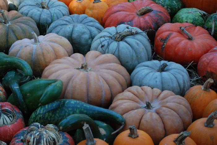 Of snakes & pumpkins: even a perfect fall day is better with prayer