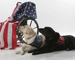 Fundraising event at Zanata to benefit Patriot PAWS