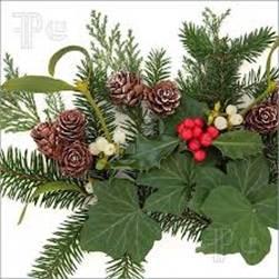 Master Gardeners to host holiday decorating class with kids