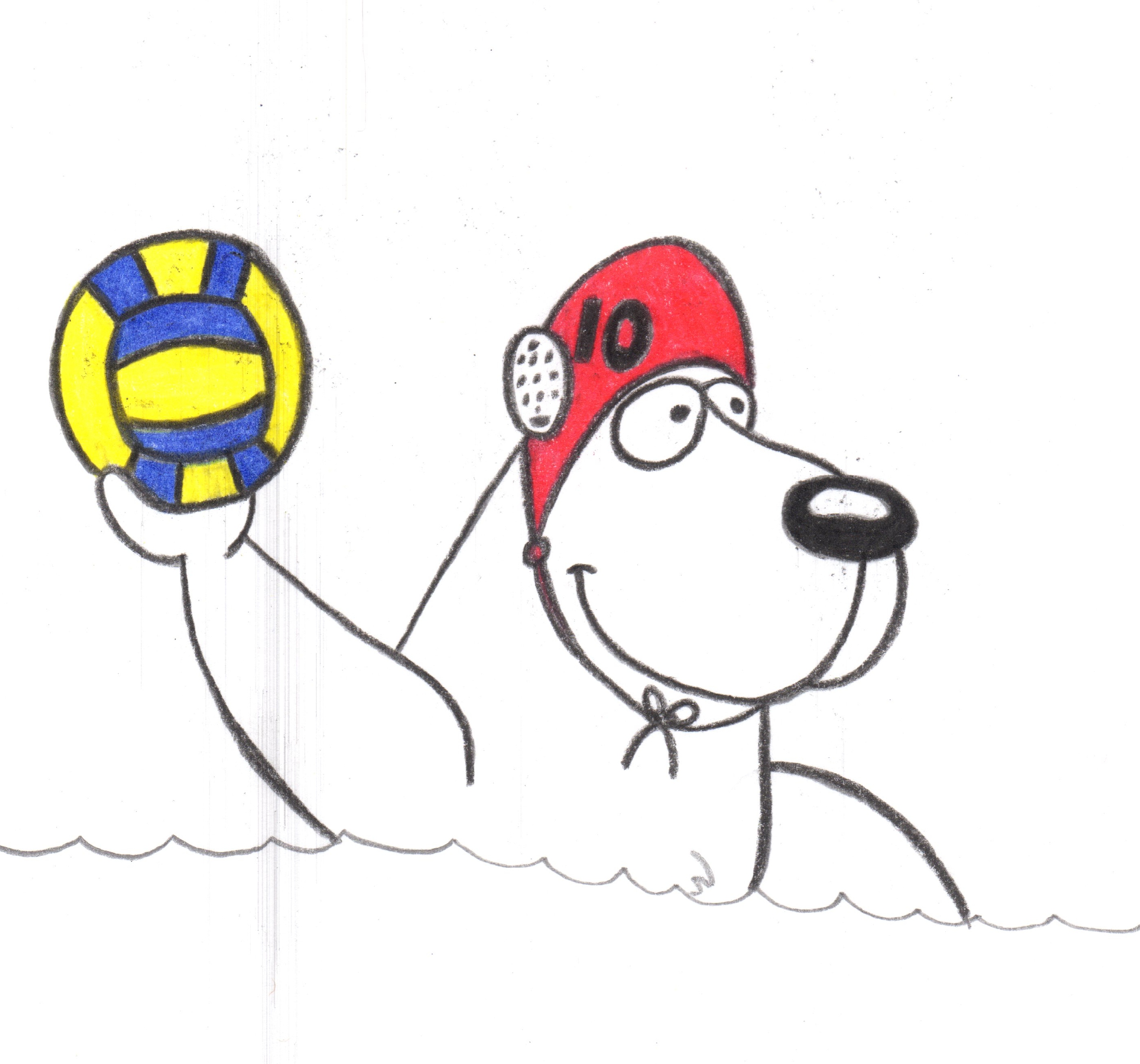 Polar Bear League welcomes those new to water polo
