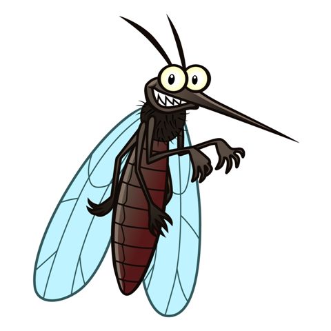 mosquito_cartoon_40825445_xl