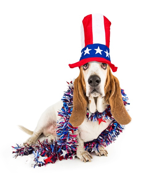 Memorial Day at Rest Haven: Patriotism & Puppies on Parade