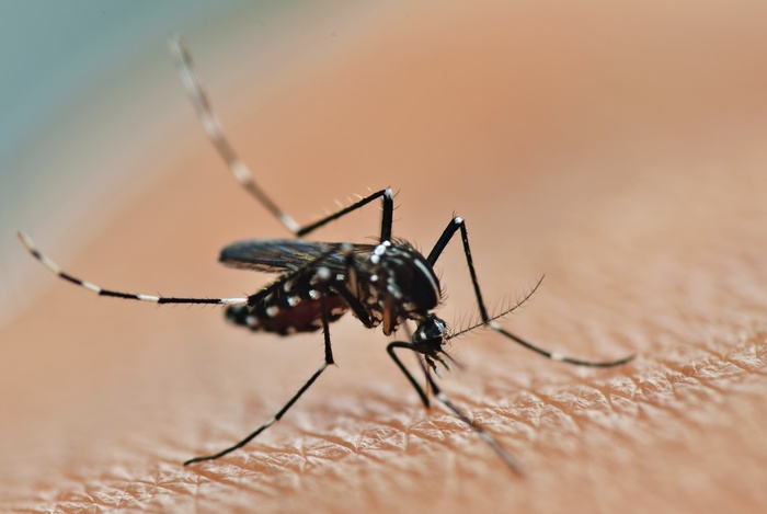 City of Rockwall: Proactive steps to reducing West Nile exposure
