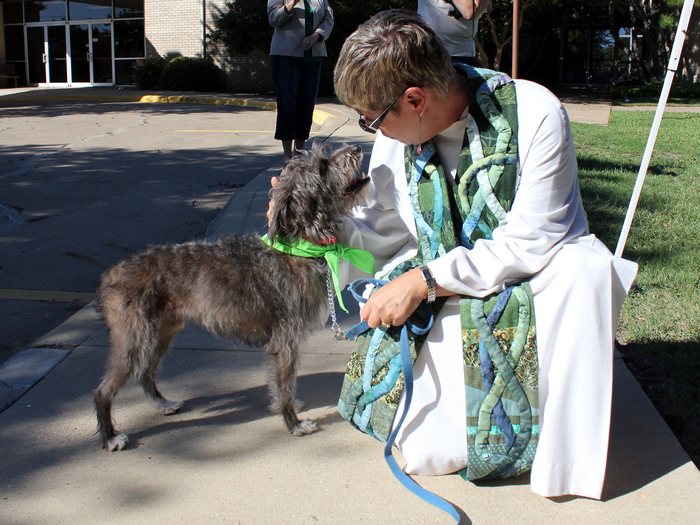 First Presbyterian to host Blessing of the Animals Oct. 2