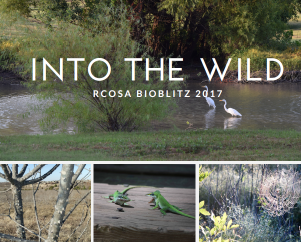 Free ‘BioBlitz’ event hosted by Rockwall County Open Space Alliance