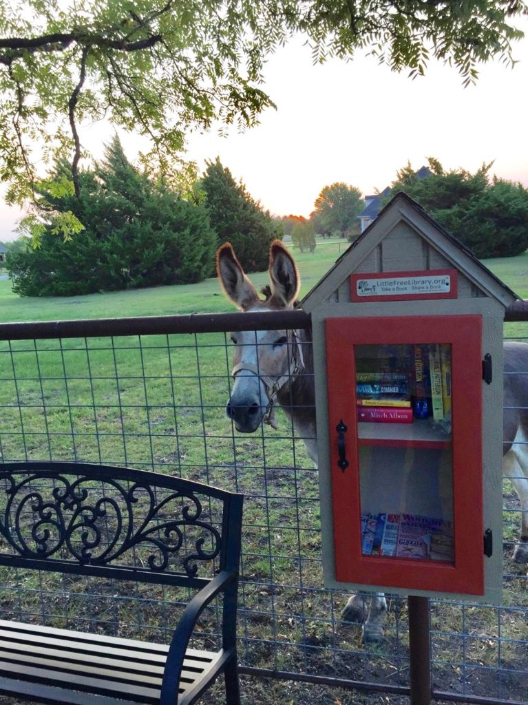 The Little Free Library in Rockwall