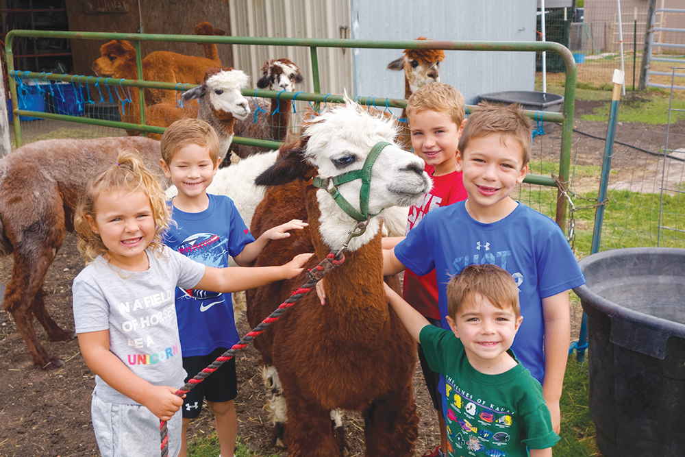 Snowy Range Alpacas Offers One-of-a-Kind Fun for All