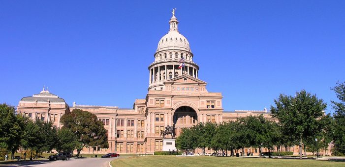 Texas Constitutional Amendments Election Results