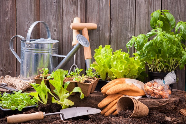 Rockwall County Master Gardeners to host garden education classes