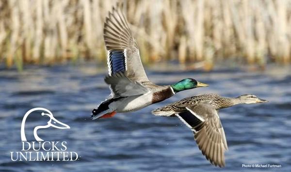 Ducks Unlimited Rockwall Chapter to host Spring Fundraising banquet April 17