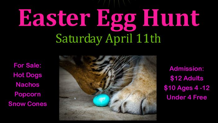 Easter Egg Hunt at In-Sync Exotics