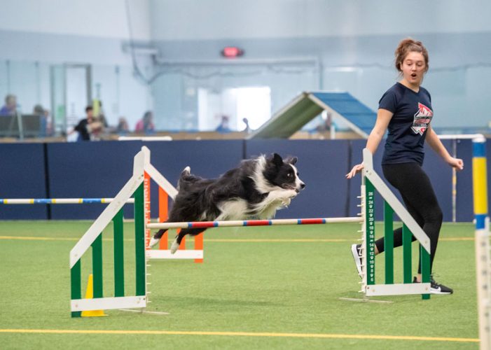 Rockwall teen and her dog to compete in Dog Agility World Championships in Finland this summer