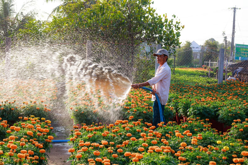 man-watering-garden