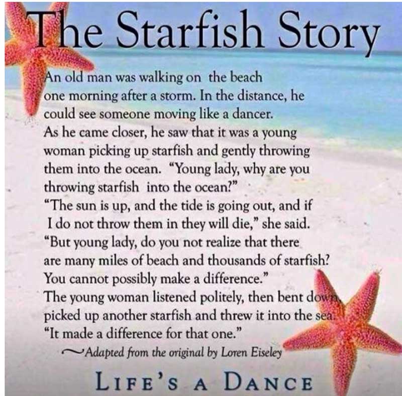 Starfish Story