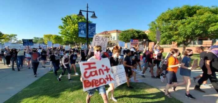 PHOTOS/VIDEO: Peaceful protest at Rockwall Harbor this evening