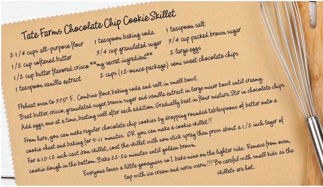 chocolate chip cookie skillet recipe