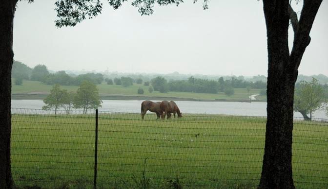 Letter to the Editor: Open Space and the future of Rockwall County