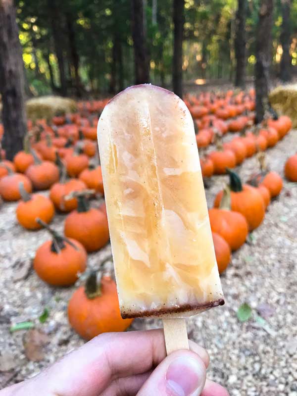 Apple Spice popsicle at Blase Family Farm