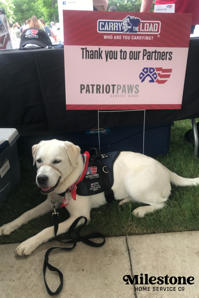 can a service dog go to jail with you