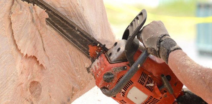 New ‘chainsaw art’ project underway at Harry Myers Dog Park