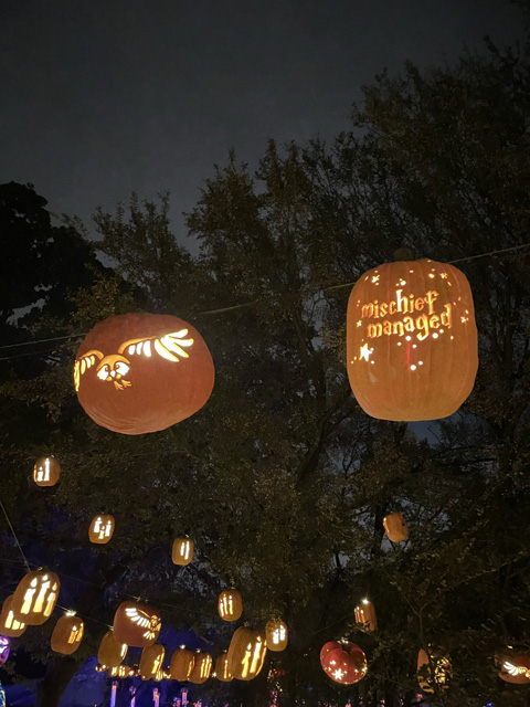 Adventures with the Editor: Pumpkin Nights – Blue Ribbon News