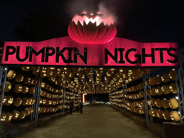 Pumpkin Nights  Experience the excitment of 7,500 hand-carved pumpkins