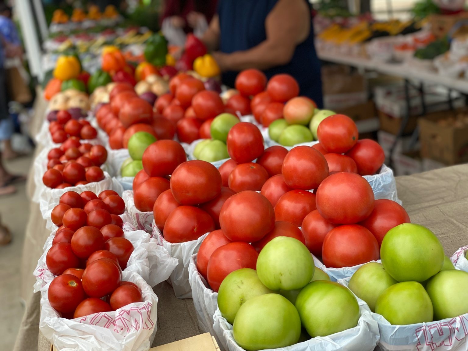 Farmers Market opens in Downtown Rockwall, kicking off summer Blue