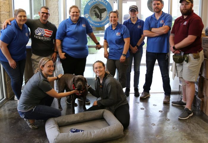 Patriot PAWS Service Dogs receives grant, shares hundreds of dog beds with local animal shelters