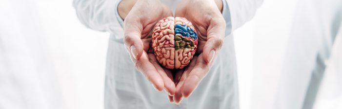 Alzheimer’s Association: Five steps to better promote brain health