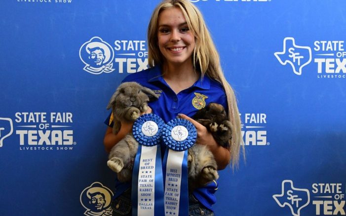 Royse City FFA student named National Holland Lop Rabbit Breeders Association’s Youth Regional Director