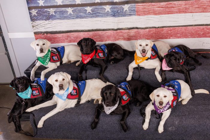 Rockwall-based Patriot Paws Service Dogs celebrates International Assistance Dogs Week