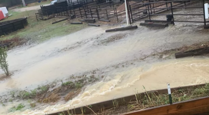 Flooding at local stable leaves horses standing in water, all hay and shavings gone
