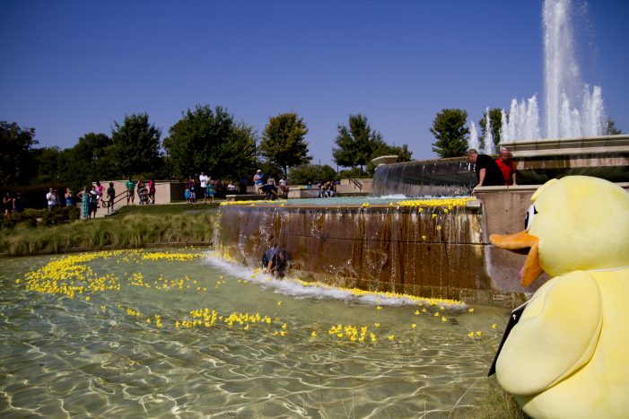 duck-watching-race-701×467