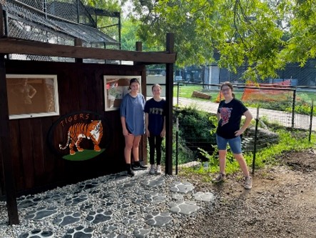 Local Girl Scouts complete Silver Award project for big cats