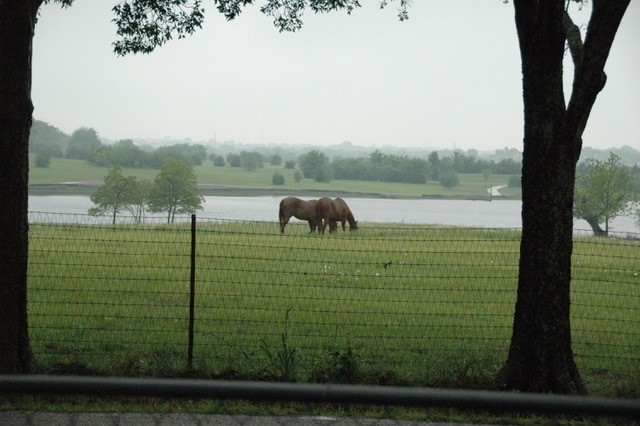 Rockwall County Open Spaces: ‘We must not delay any longer’