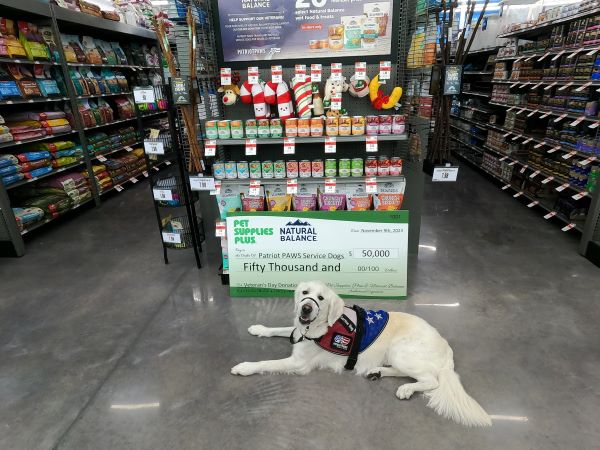 Patriot PAWS Service Dogs receives $50,000 Veterans Day donation from Pet Supplies Plus, Natural Balance partnership