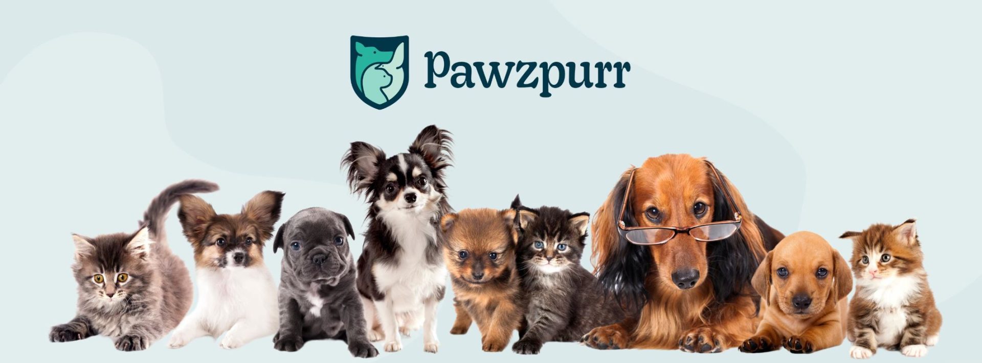 Pawzpurr launches service providing life-long care and financial security to beloved pets