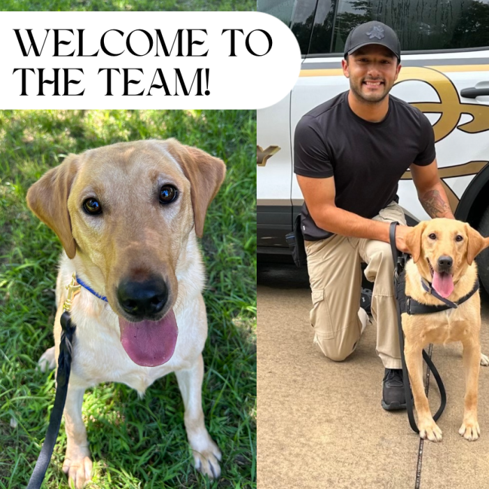 Royse City ISD Security Department makes history with addition of Safety Dog