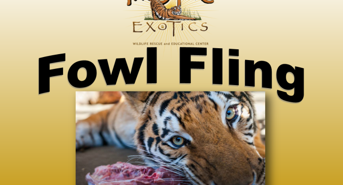 A roaring good Thanksgiving at In-Sync Exotics Fowl Fling