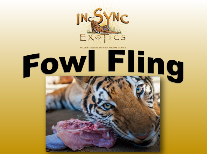 A roaring good Thanksgiving at In-Sync Exotics Fowl Fling