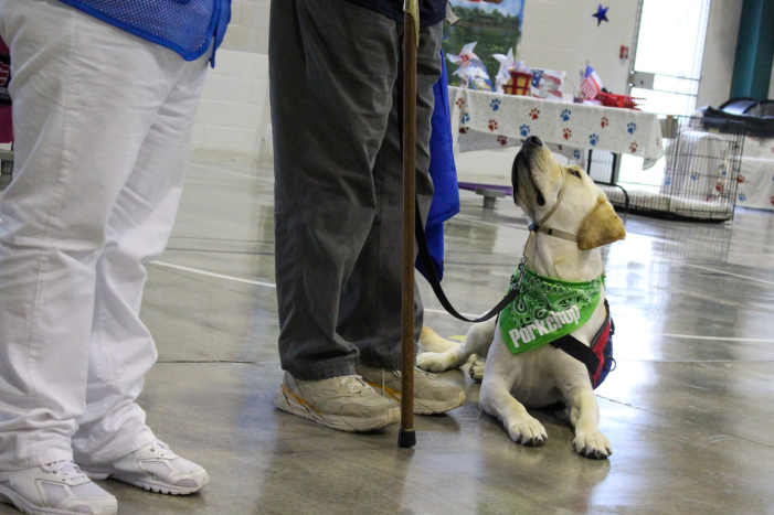 Patriot PAWS Service Dogs receives $15,000 grant from Texas Bar Foundation