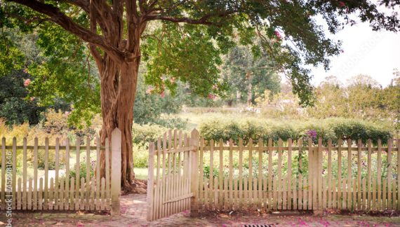 Patti Richter, On Faith: Not Dressed Up but Somewhere to Go