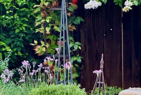 Kukka by Sally Kilgore: Blessing