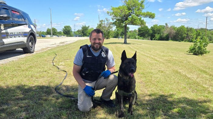 Canine teams with Texas K-9 Conference training in Rockwall this week