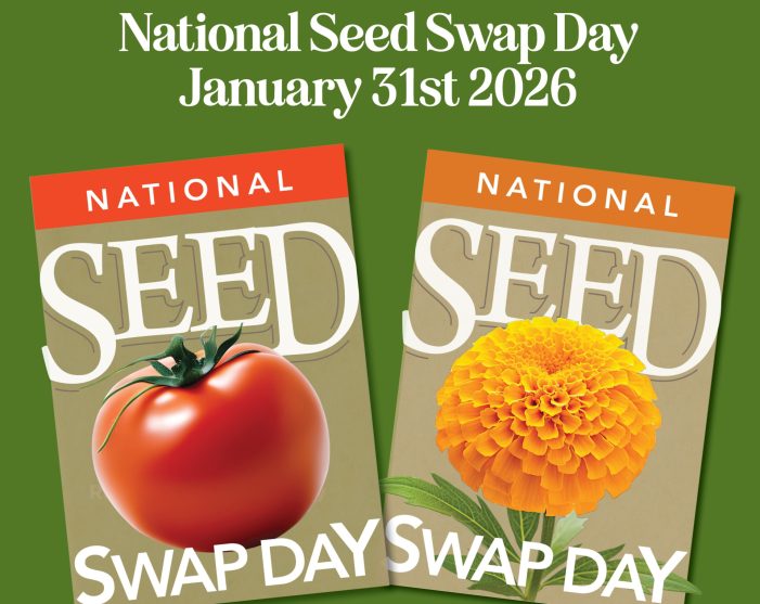 Discover the practice of seed collection: Save seeds now. Swap later.