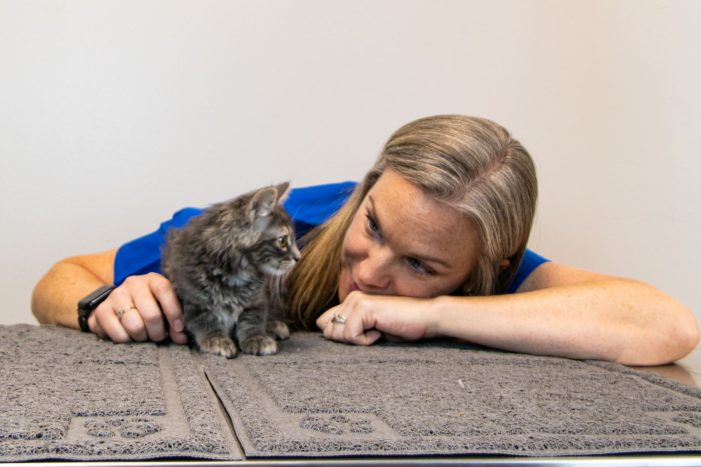 CityVet, a Veterinarian-owned practice, opens Rockwall location on October 20