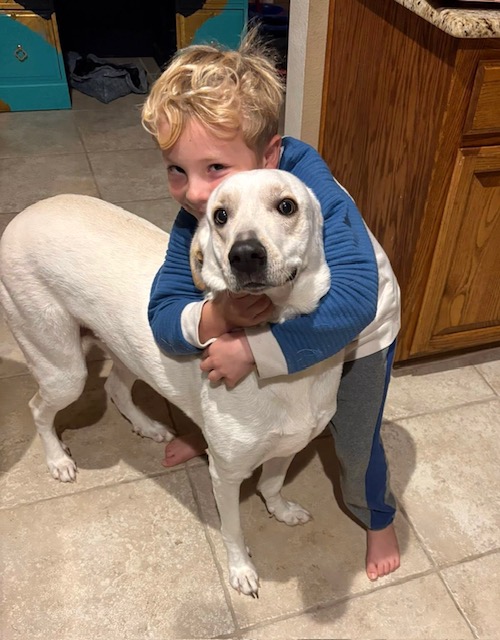 Meet Tofu, Blue Ribbon News Pet of the Week