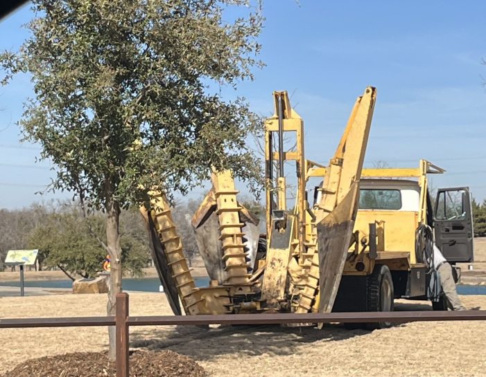 A living legacy takes root at Rockwall’s Harry Myers Park