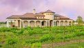 Rosini Vineyards uncorks new menu, introduces ‘Winery & Eatery’ concept