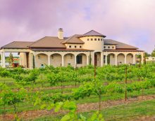 Rosini Vineyards uncorks new menu, introduces ‘Winery & Eatery’ concept